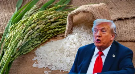 ट्रम्प बोले- भारत के कारण अमेरिकी किसानों को घाटा